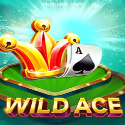 WildAce: Unveiling the Thrills of a New Online Casino Sensation